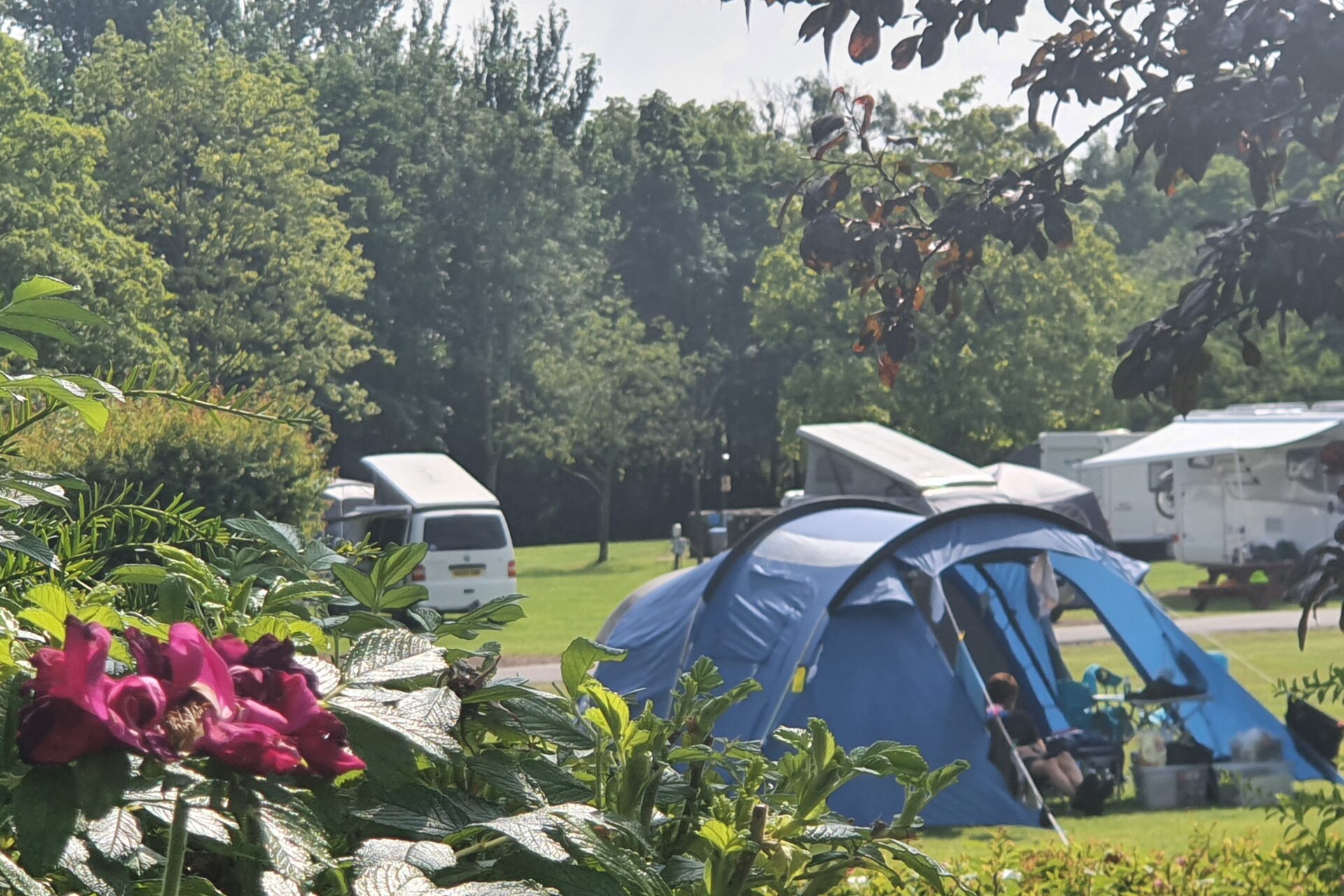 Touring & Camping Mortonhall Meadowhead Caravan & Camping Parks