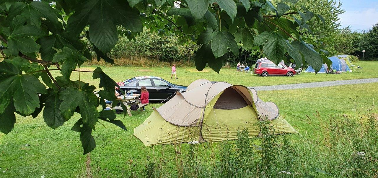 Grass Tent Pitch